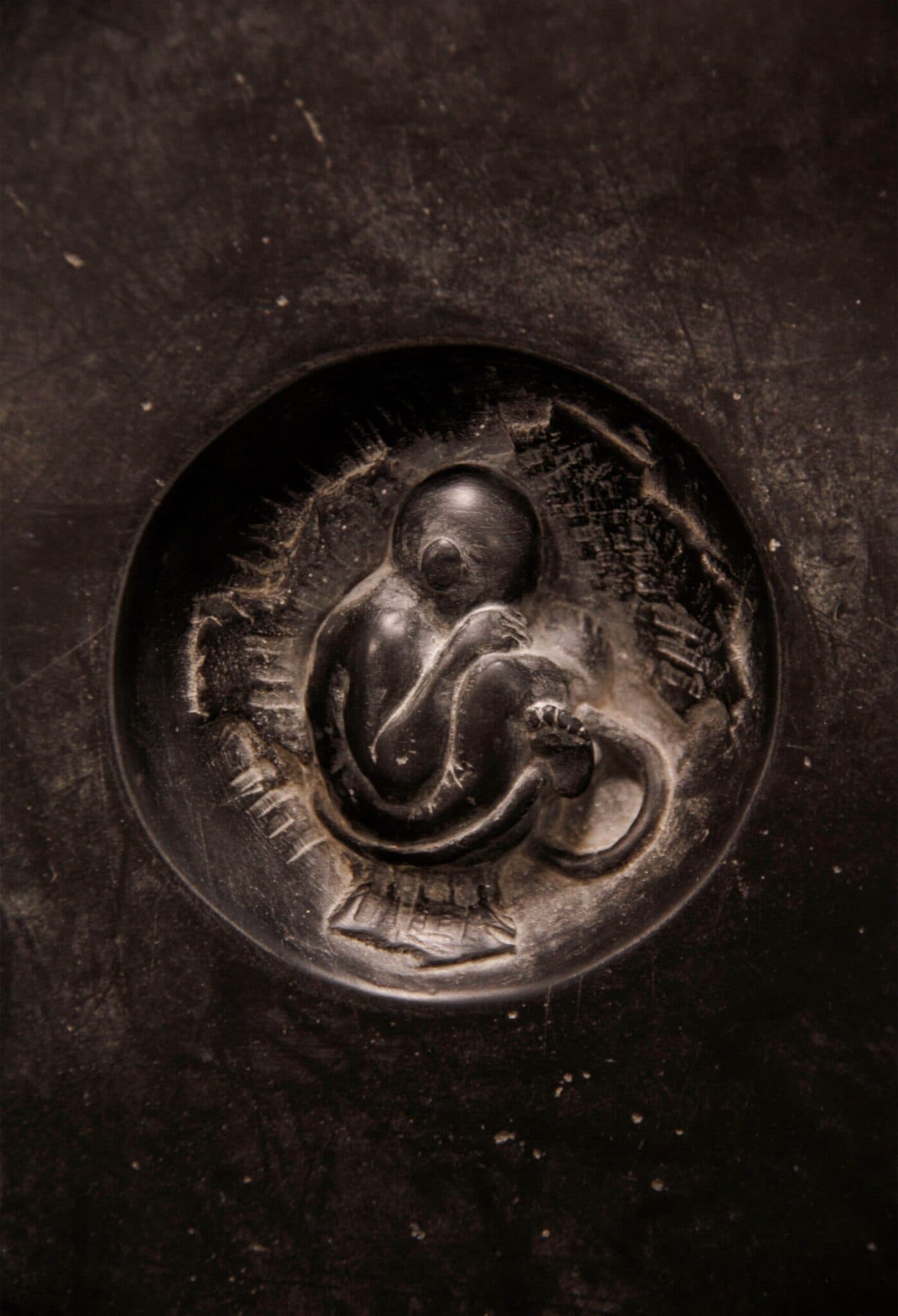 La vita vince sempre