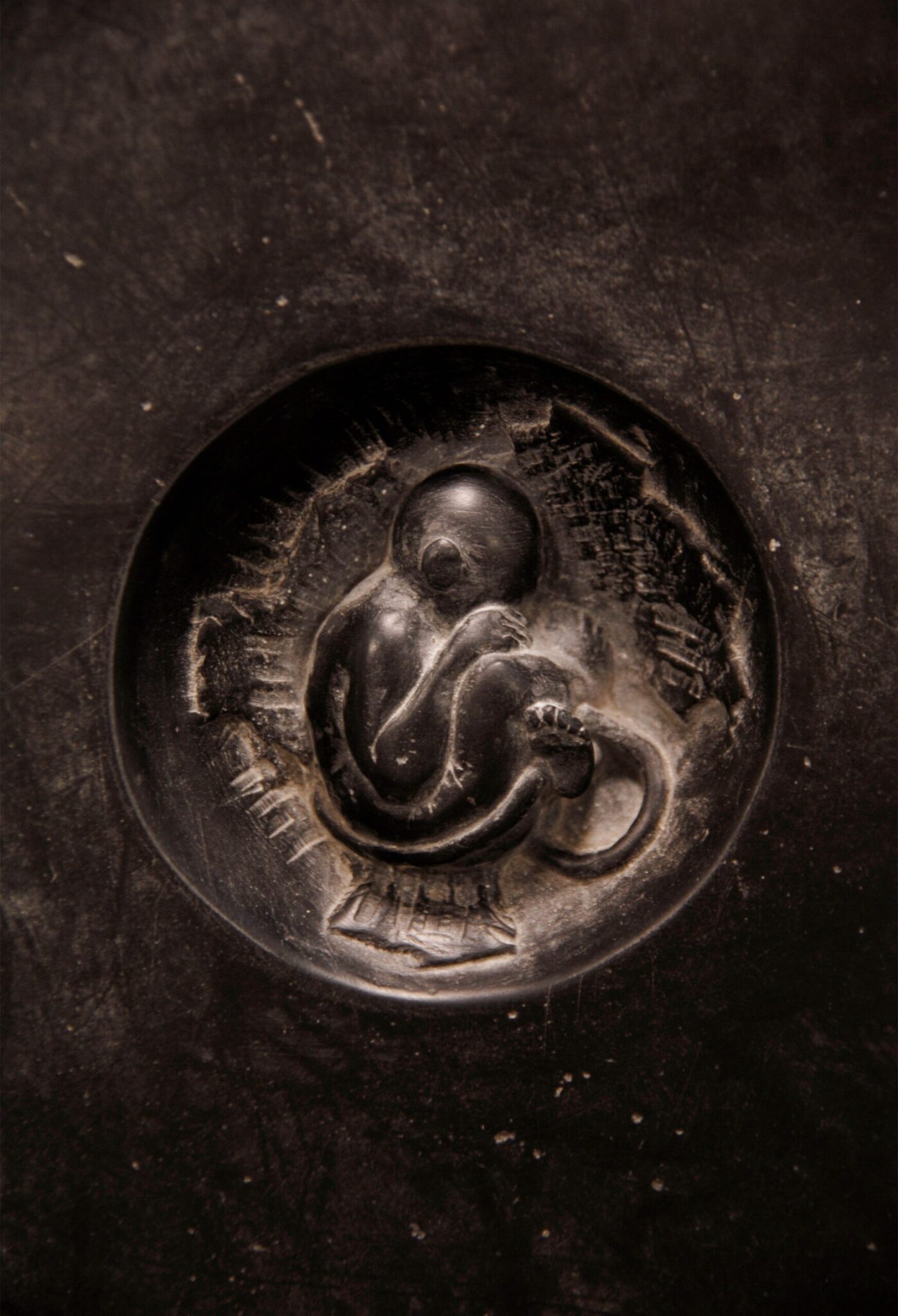 La vita vince sempre